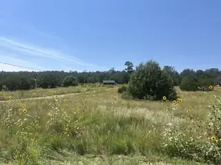 Ballenger Ranch Road, Edgewood 