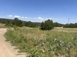 Ballenger Ranch Road 