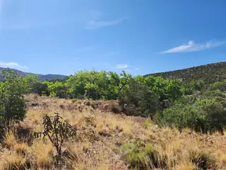 700 STATE HIGHWAY 165 