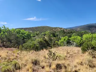 700 STATE HIGHWAY 165 