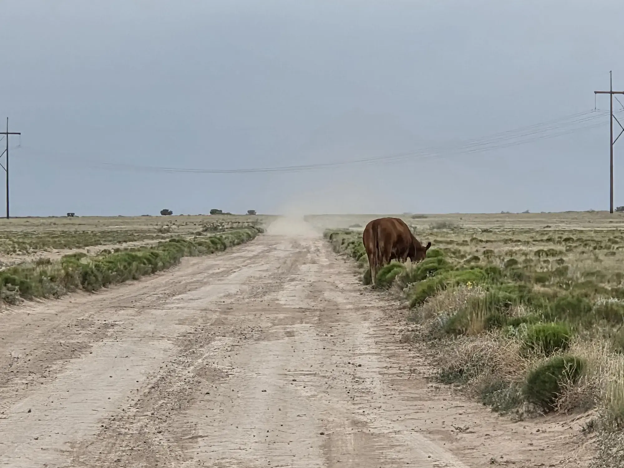 VL RRG Lot: 233 Unit 4