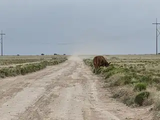 VL RRG Lot: 233 Unit 4, Socorro 