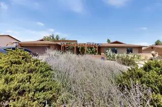 2009 TWISTED JUNIPER Road SE 