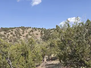 Lot 153 Pinon Springs Ranch 