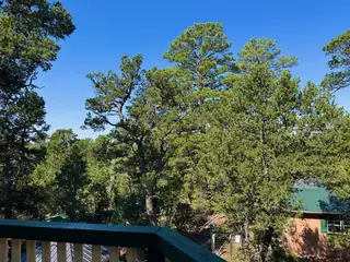 13 ERIC ALAN Lane View