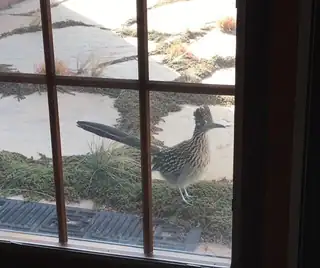 2885 NM 96 Exterior Front