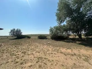 45 AKIN FARM Road Backyard