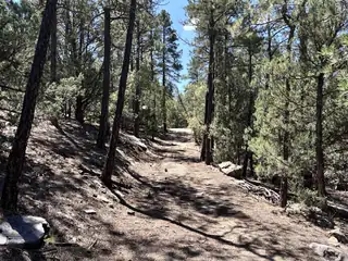 27 Green Shadows Lane 