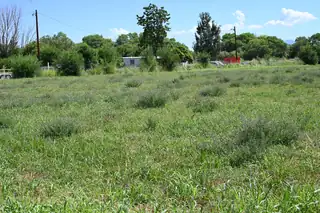 171 CAMINO DE LOS CHAVEZ Floor Plan