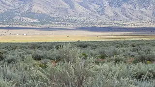 VL RDO Lot 28 Block 1167 R 