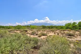 2396 Manzano Loop NE View