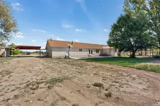 42 CRAWFORD Road Backyard