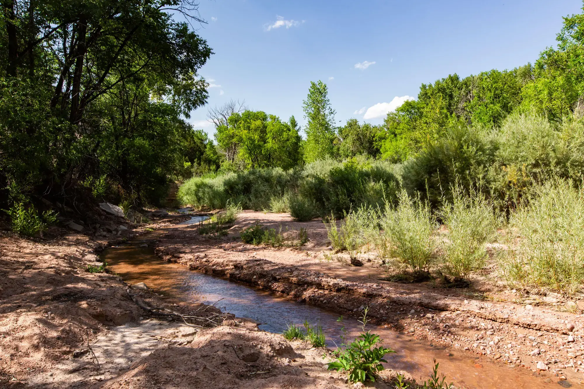 28 GLOWING STAR Road