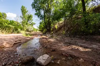 28 GLOWING STAR Road 