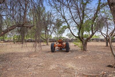 40 Blue Sky, Corrales 