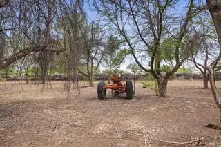 40 Blue Sky, Corrales 