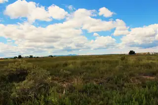 06 Mi Ranchitos Road 