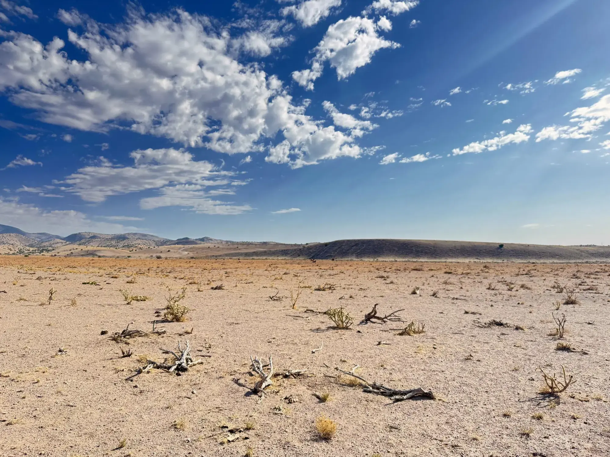 Lot 122 Golden Ridge