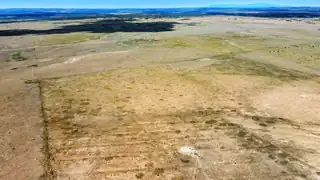 West side of Firefly Lane 