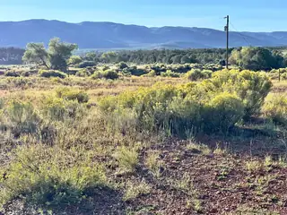 TBD State Highway 96 