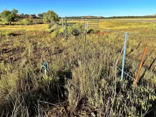 TBD State Highway 96 