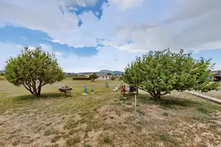 99 NORTHVIEW Trail Backyard