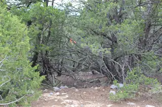 250 FIVE HILLS Drive 