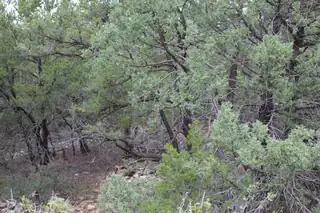 250 FIVE HILLS Drive 