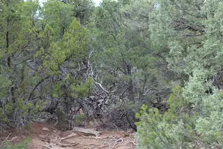 250 FIVE HILLS Drive 