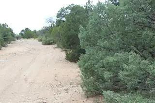 250 FIVE HILLS Drive 