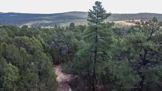 5 La Miranda, Tijeras 