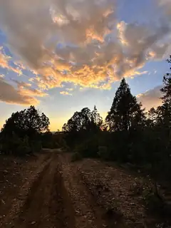 99 Private Drive 1781A 