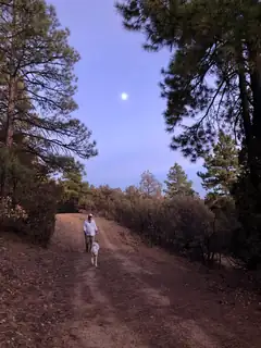 99 Private Drive 1781A 