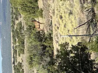 Lot 130 Jolly Time Lane 