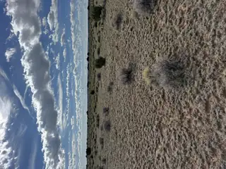 Lot 130 Jolly Time Lane 