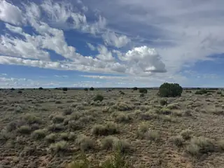 Lot 130 Jolly Time Lane 