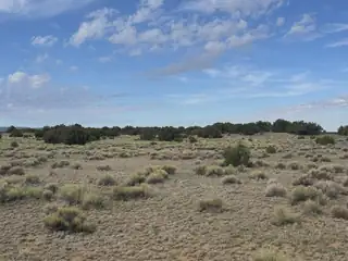 Lot 130 Jolly Time Lane 