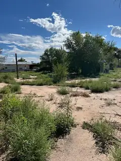 975 HARRIS Avenue Backyard