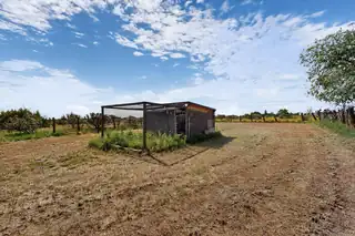 8347 State Highway 55 Backyard