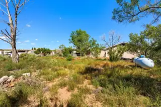 1205 10TH Street NW Backyard