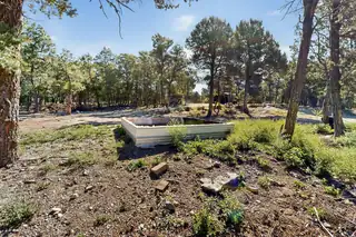 8 RAMPART Road Backyard