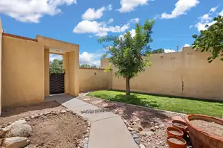 10321 CAMINO DEL OSO Backyard