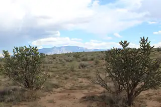 2601 Hatfield Street NE 