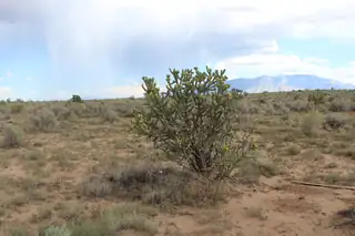 2601 Hatfield Street NE 