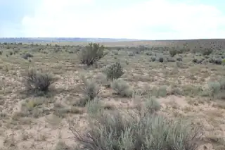 2601 Hatfield Street NE 