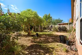 5308 WHITE RESERVE Avenue SW Backyard