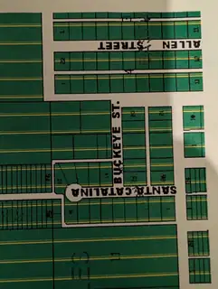 1007 S Santa Catalina Street 