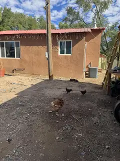 2318 TRAMMELL Court SW 