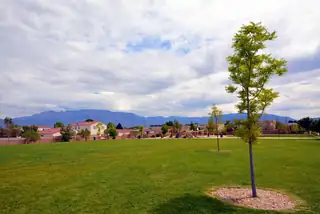 6800 VISTA DEL NORTE Road NE 1322 View