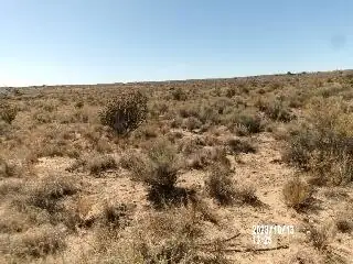 U5 B32 L8 Southern Boulevard SW 